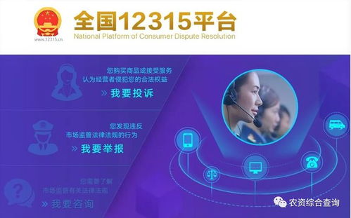 軟件技術(shù)賦能 我國鄉(xiāng)村產(chǎn)業(yè)未來發(fā)展的新引擎